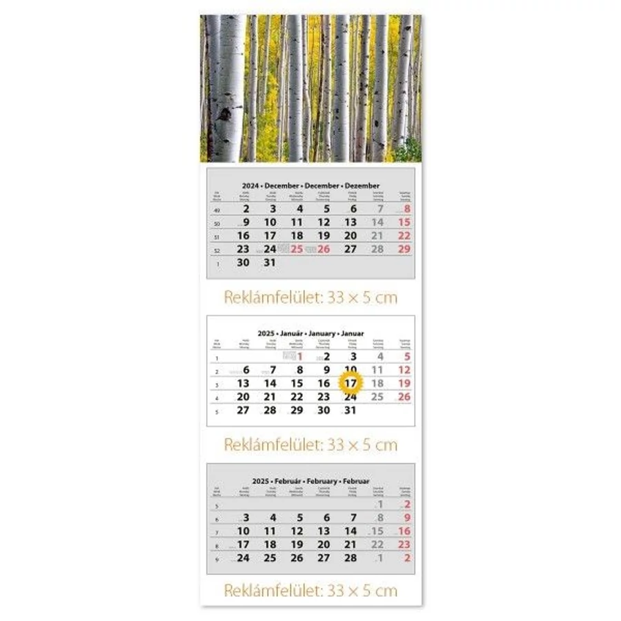 *39509 FALINAPTÁR SPEDITŐR 2025 3 tömbös 3 havi DAYLINER 33*88cm