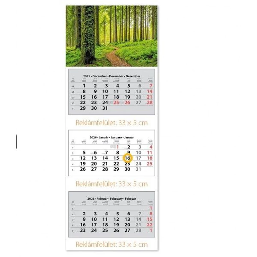 *39509 FALINAPTÁR SPEDITŐR 2026 3 tömbös 3 havi DAYLINER 33*88cm képes