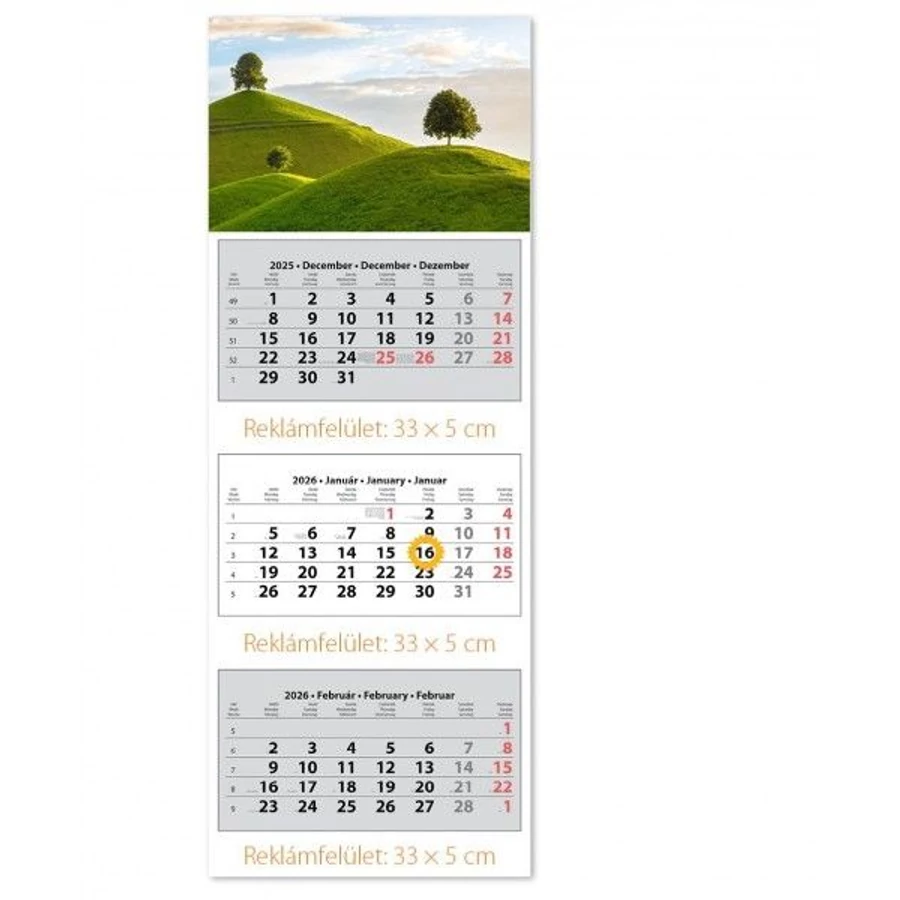*39509 FALINAPTÁR SPEDITŐR 2026 3 tömbös 3 havi DAYLINER 33*88cm képes