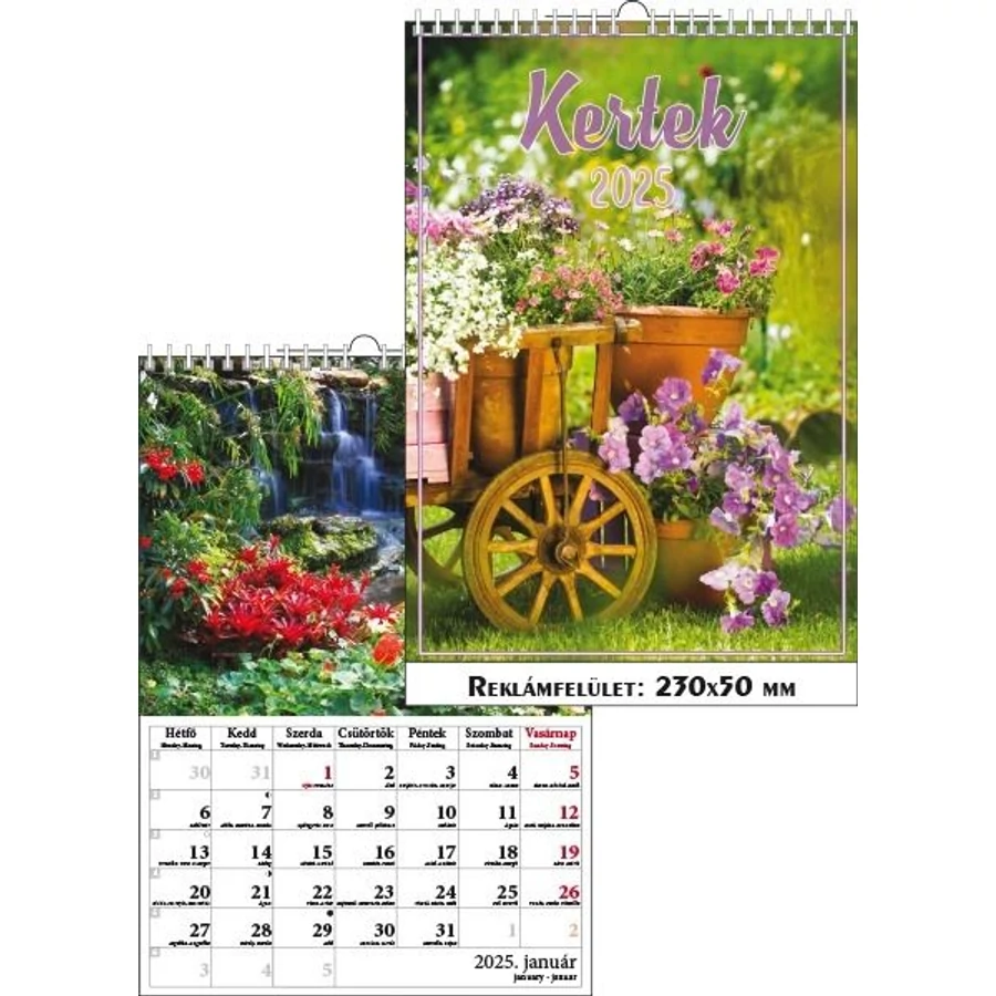 *41305 FALINAPTÁR 2025 Kertek T-Calendar  23*33cm spirálozott