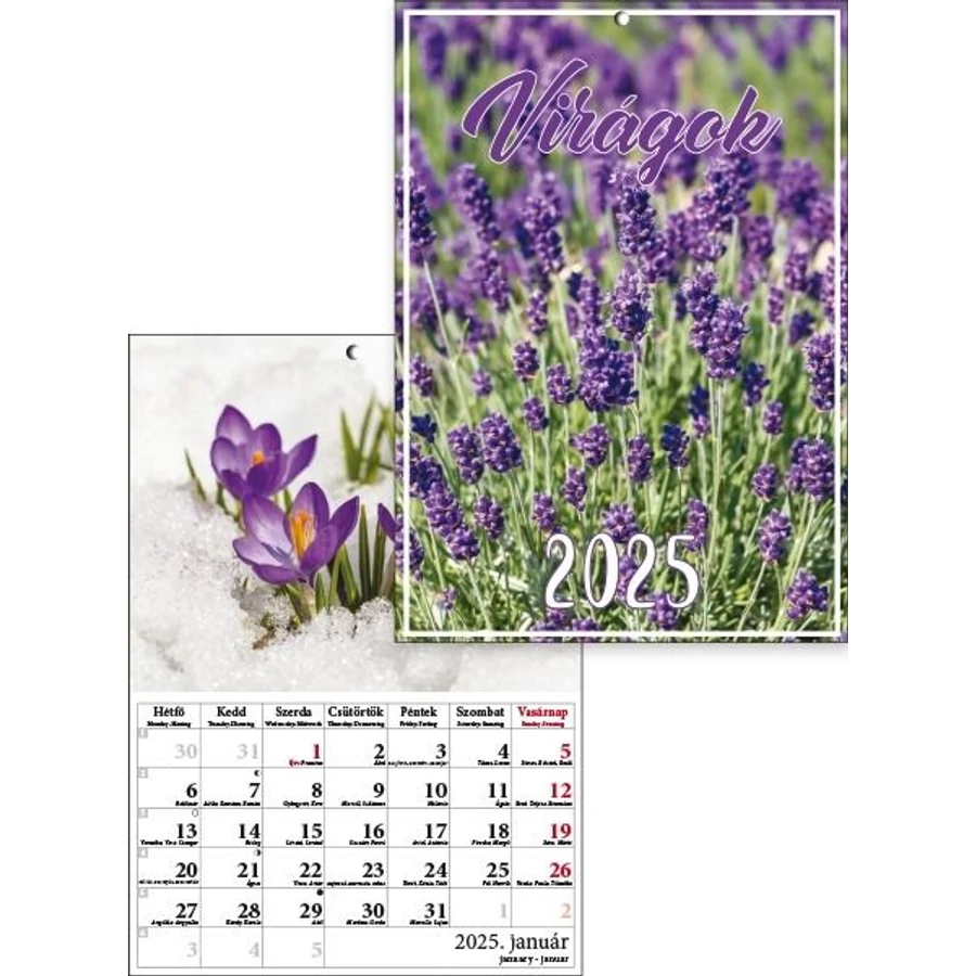 *41316 FALINAPTÁR 2025 Virágok T-Calendar A4 tűzött