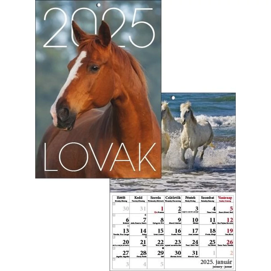 *41318 FALINAPTÁR 2025 Lovak T-Calendar A4 tűzött