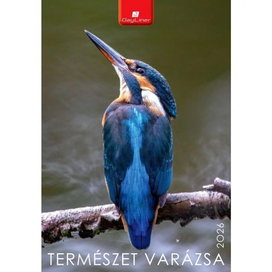 *41672 FALINAPTÁR 2026 Természet varázsa Dayliner spirálos 23*33cm