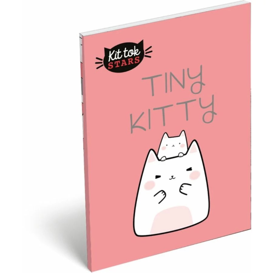 *42213 NOTESZ A7 papirfedelü LIZZY KitTok Catto