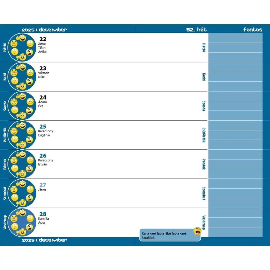 *42841 ZSEBKÖNYV 2025-26 DIÁK Realsystem 5313