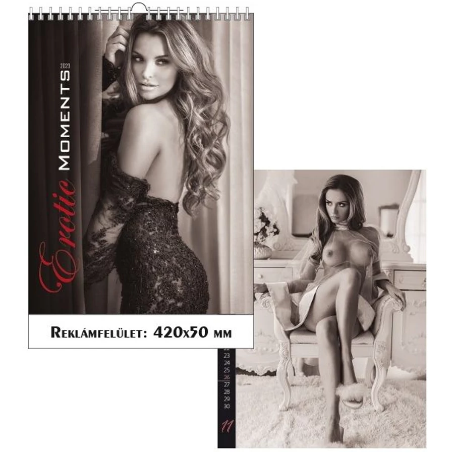 *43856 FALINAPTÁR 2023 akt Erotic Moments SG  42*56cm