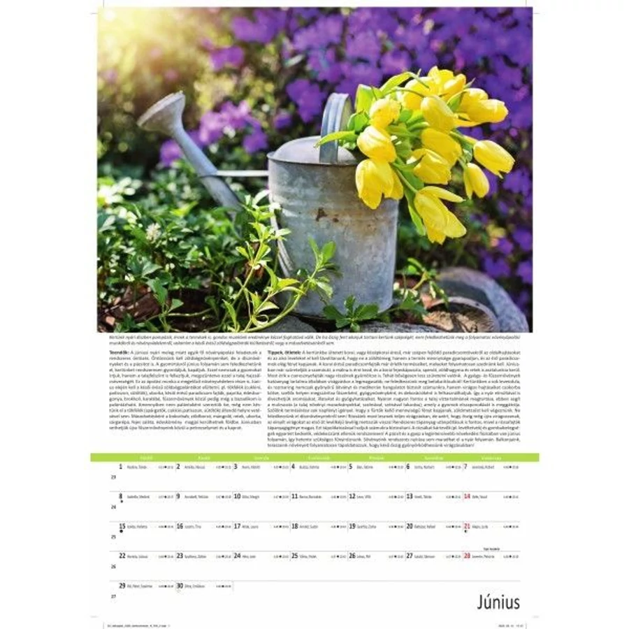 *44151 FALINAPTÁR 2026 Kertészmester GOS FA-KE-B3  34*48,5cm