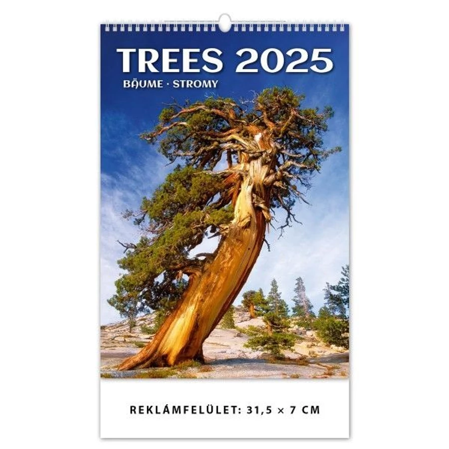 *44153 FALINAPTÁR 2025 Fák-Trees GOS H125   31,5*45cm