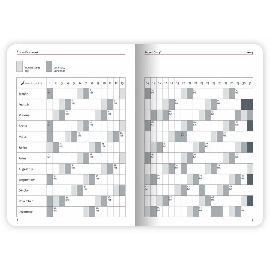 *44166 HATÁRIDŐNAPLÓ 2025 B6 napi SECRET Diary LIZZY Dolce Blocco gumis,kerekitett