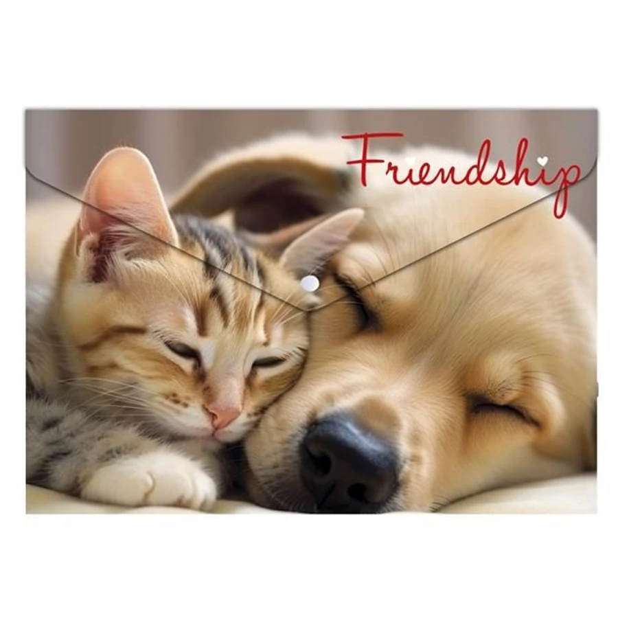 IRATTASAK A4 Panta Plast PP patentos 180mikron (Cities, INP410006243)