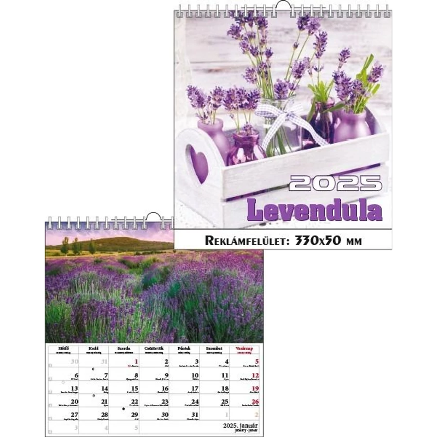 *46073 FALINAPTÁR 2025 Levendula T-Calendar 33*33cm spirálozott