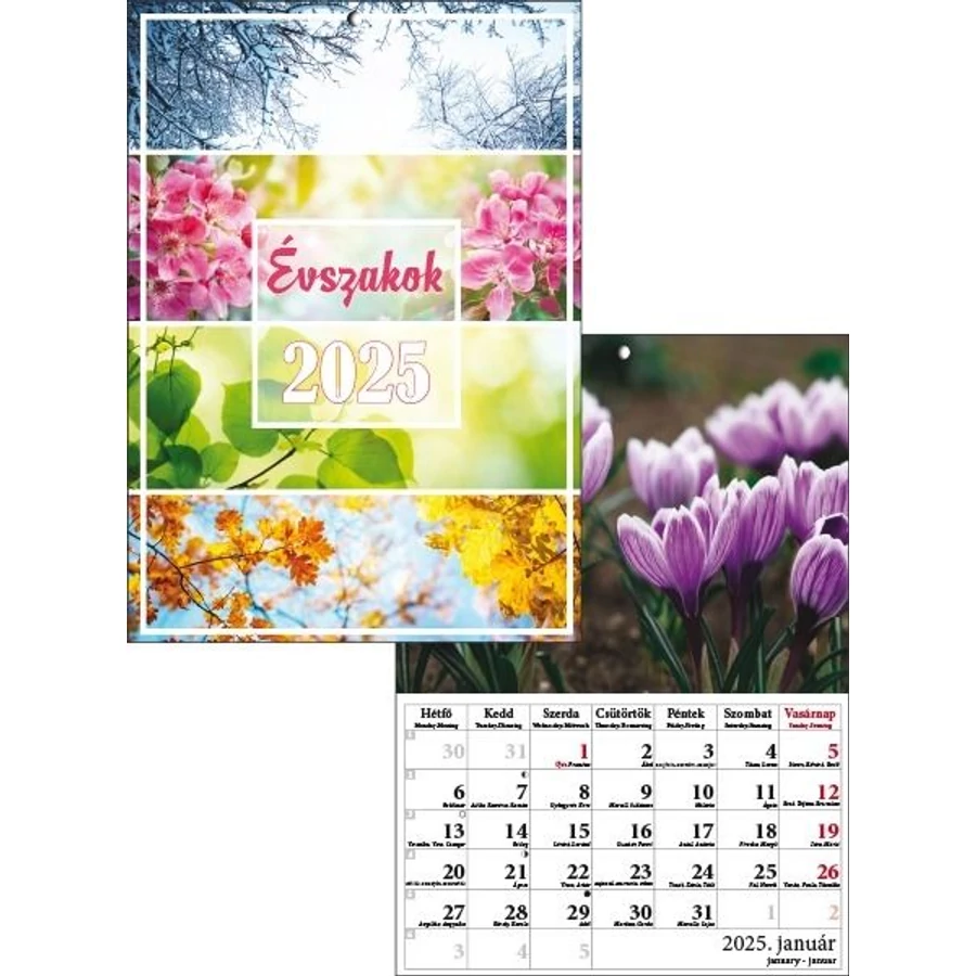 *46077 FALINAPTÁR 2025 Évszakok T-Calendar A4 tűzött