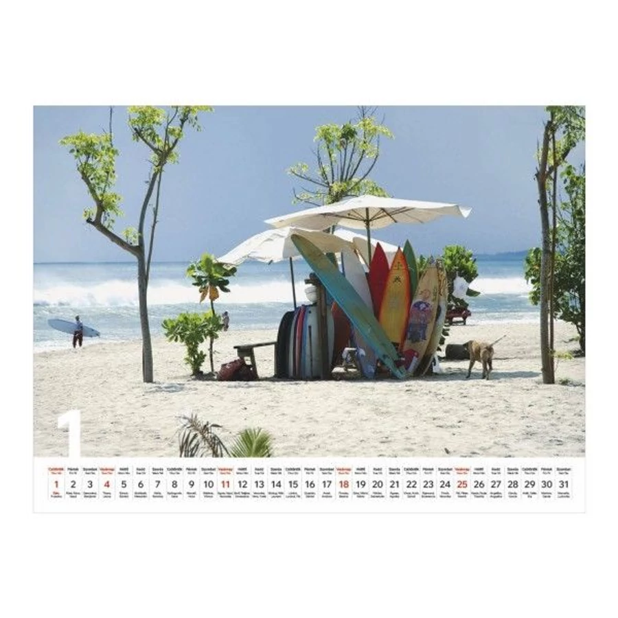 *46175 FALINAPTÁR 2026  Beach T093-24  42*31cm