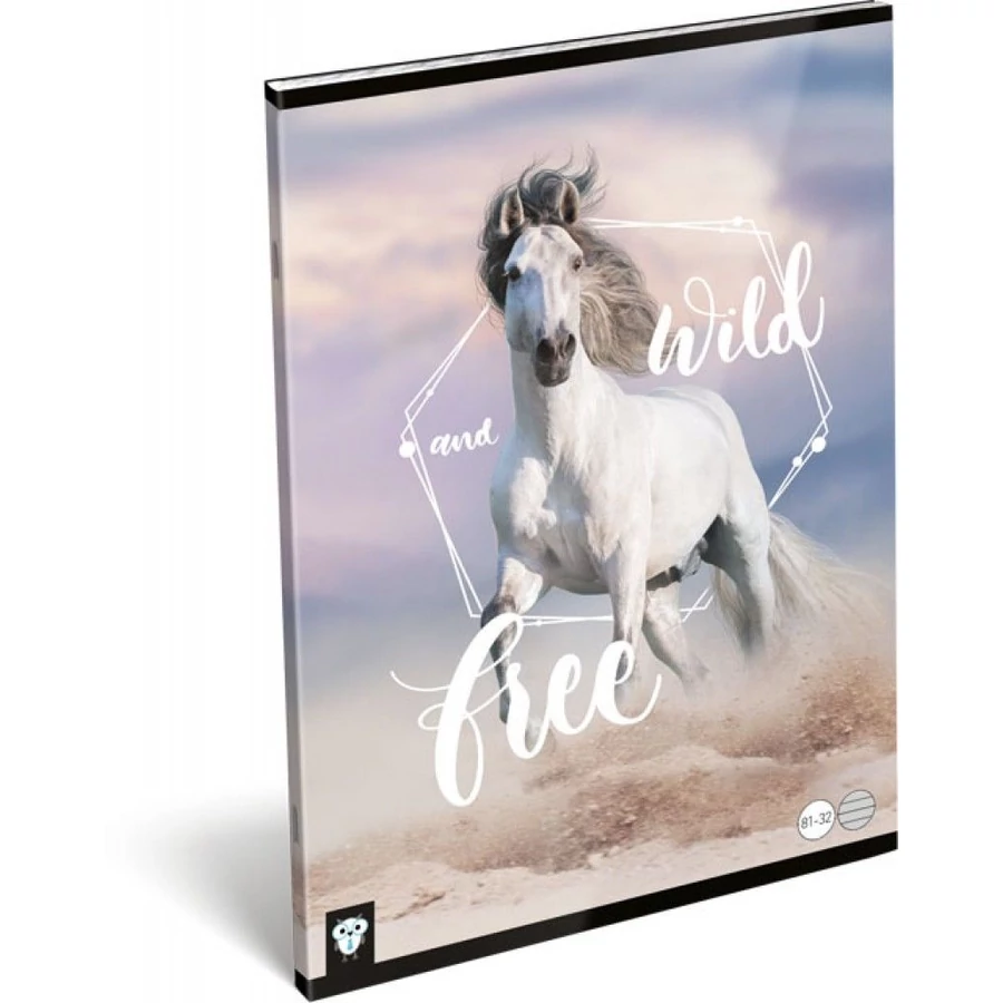 *47303 FÜZET A4 LIZZY vonalas Kis bagoly vegyes minta