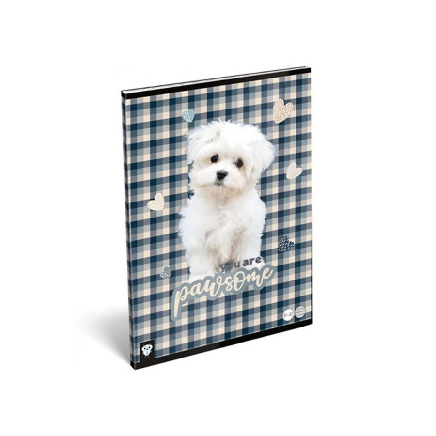 *47303 FÜZET A4 LIZZY vonalas Kis bagoly vegyes minta