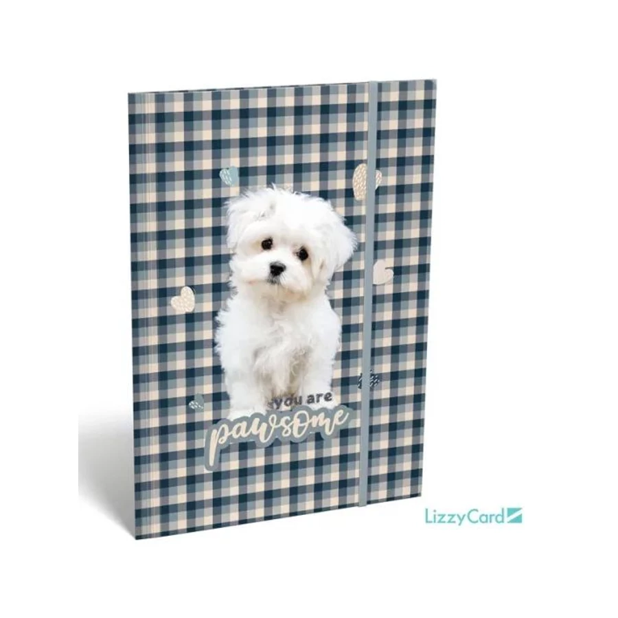 *47388 GUMIS DOSSZIÉ A4 LIZZY  Kis bagoly