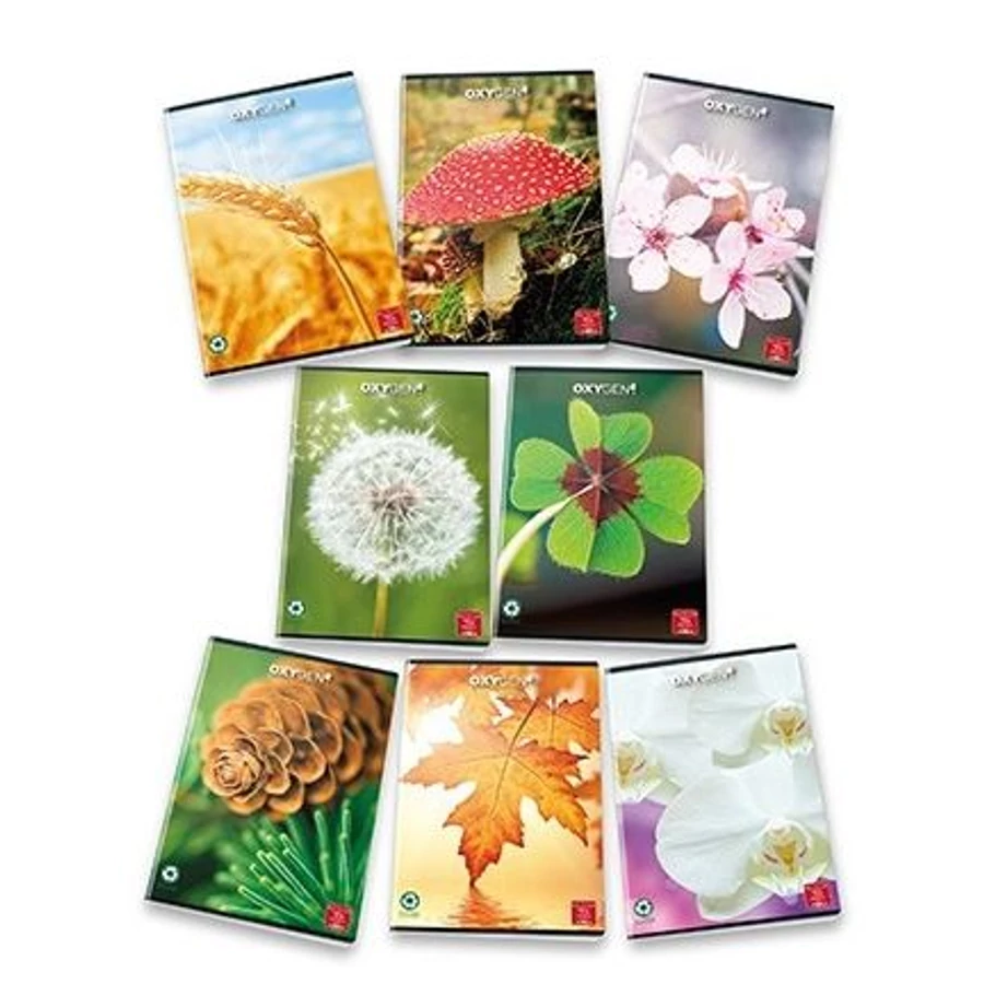 *47889 FÜZET A4 PIGNA kockás 42lap Nature Oxygen*