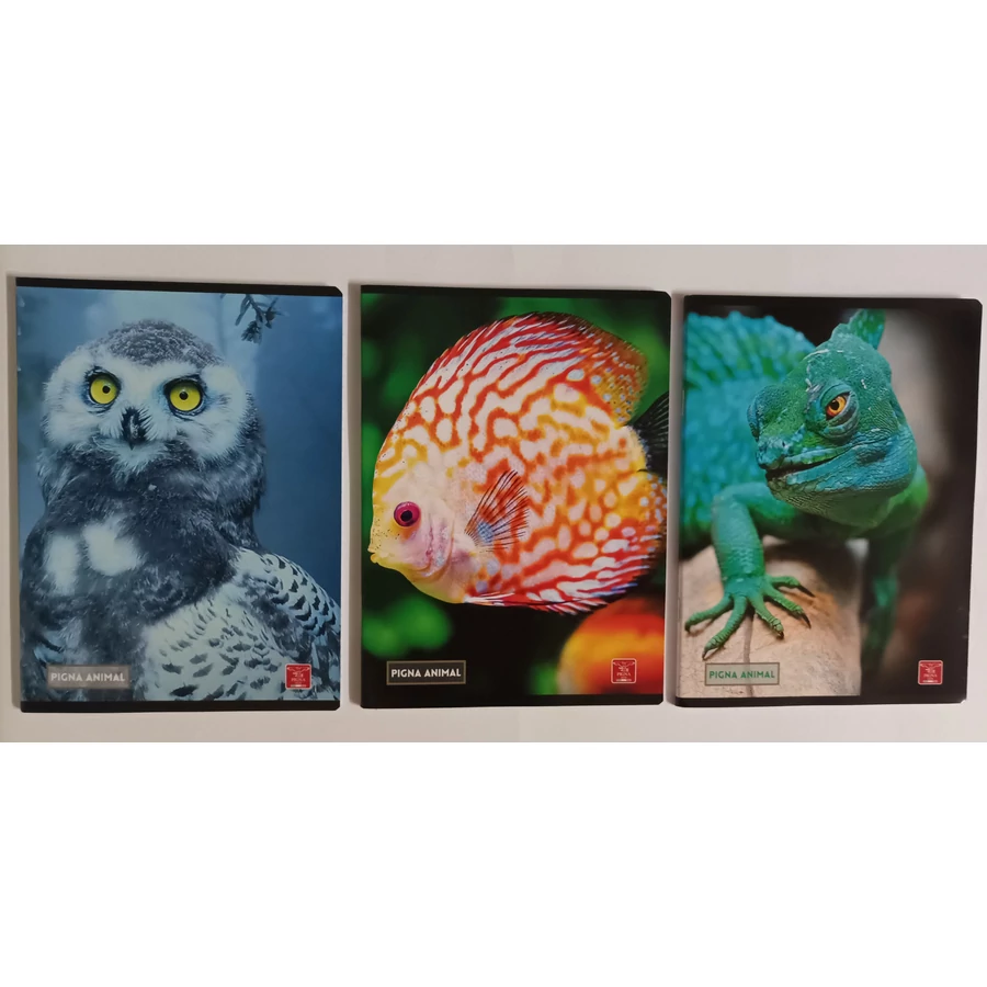 *47890 FÜZET A5 PIGNA kockás 42lap Animal