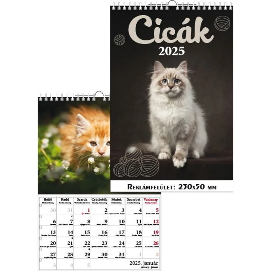 *48148 FALINAPTÁR 2025  Cicák  T-Calendar  23*33cm spirálozott