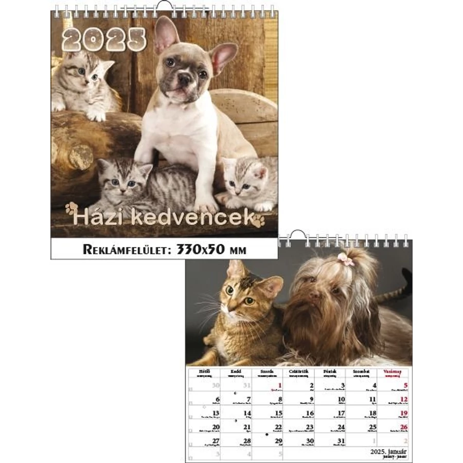 *48154 FALINAPTÁR 2025 Házi kedvencek T-Calendar 33*33 spirálozott