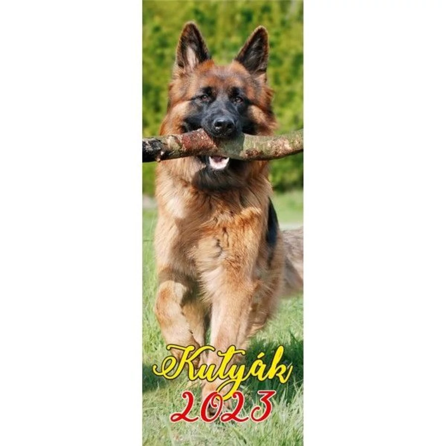 *48300 FALINAPTÁR 2023 Kutyák GOLD keskeny spirálozott 15*42cm