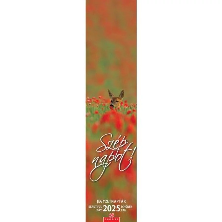 *48304 FALINAPTÁR 2025 Szép napot! CSG keskeny spirálozott jegyzetnaptár 11*48cm