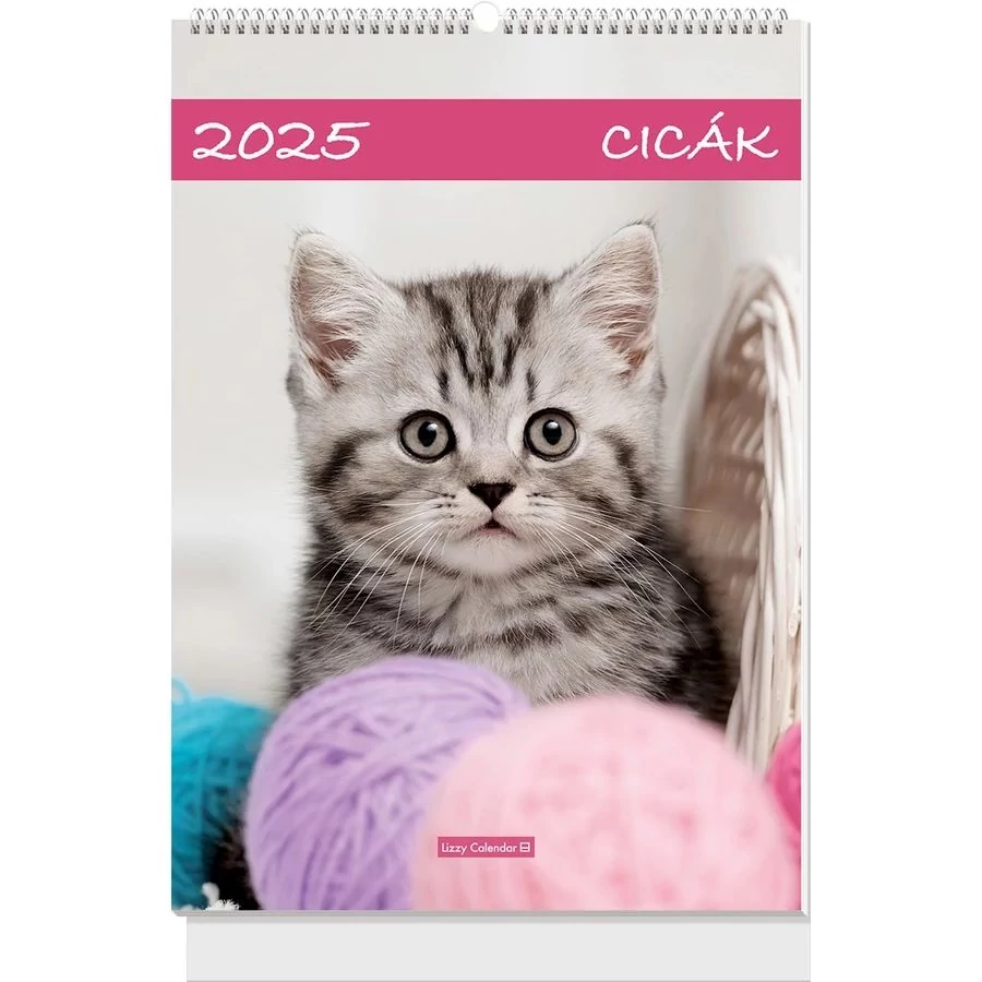 *48393 FALINAPTÁR 2025 Cicák B4 spirálozott Lizzy 23.5*33cm