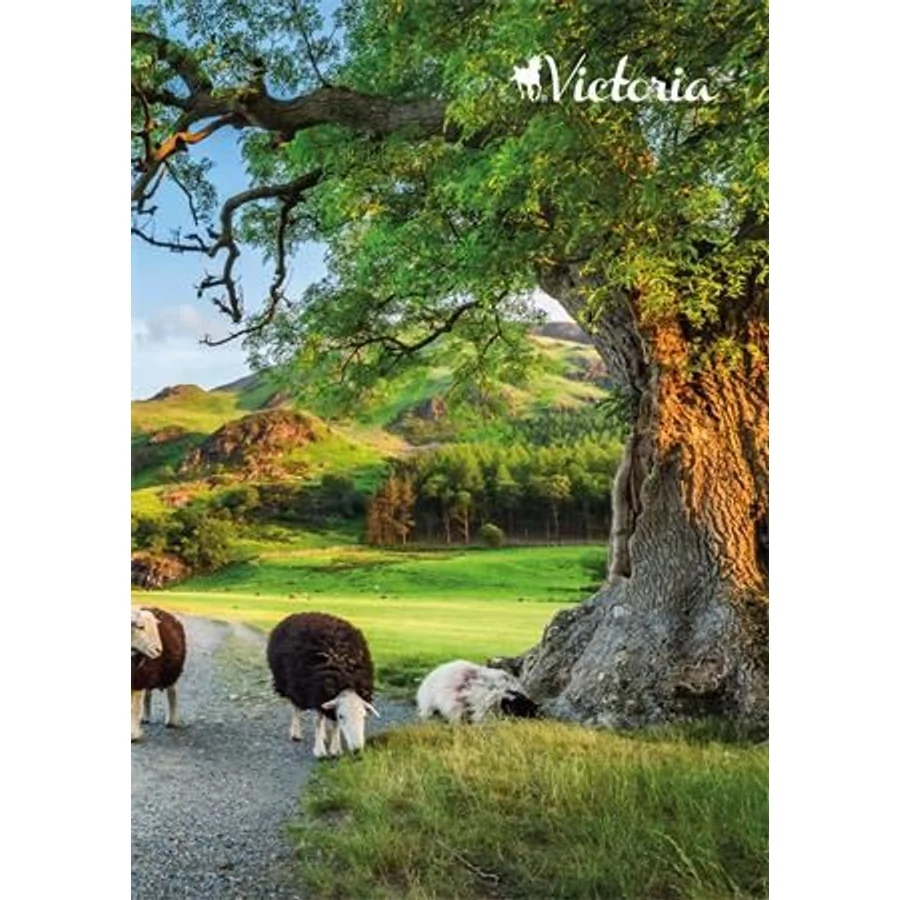 *49895 FÜZET A5  VICTORIA   mintás vonalas 96l vegyes mintás