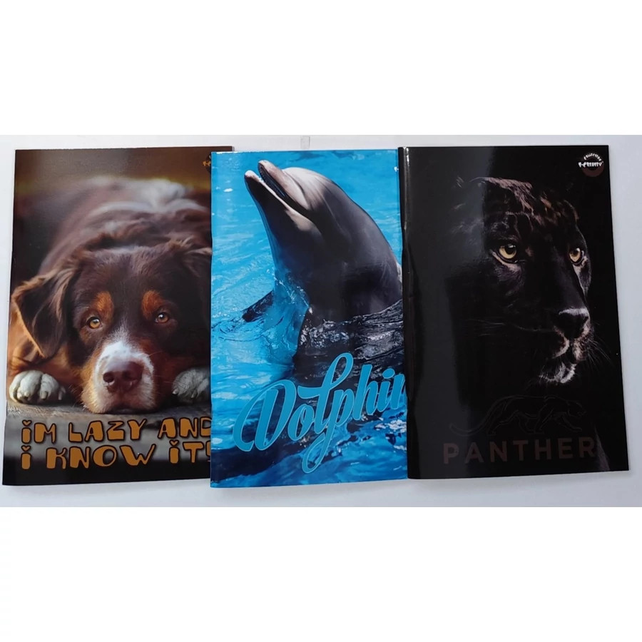 *49974 FÜZET A4 T-CREA  sima 80-60 60lap vegyes mintás