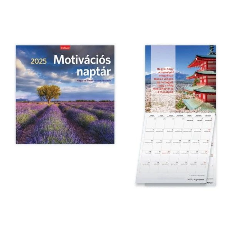 *50575 FALINAPTÁR 2025 Motivációs naptár  tűzött T098-23 29*58