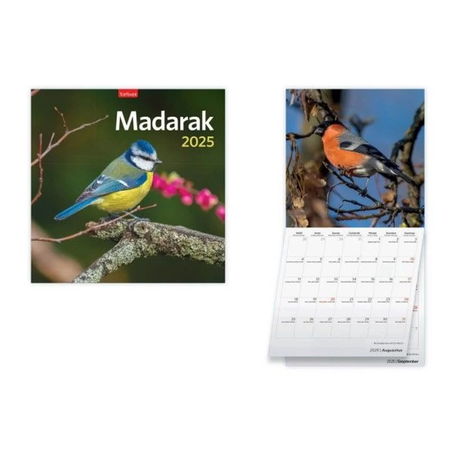 *50746 FALINAPTÁR 2025 Madarak TopTimer  T098-18 29*58cm