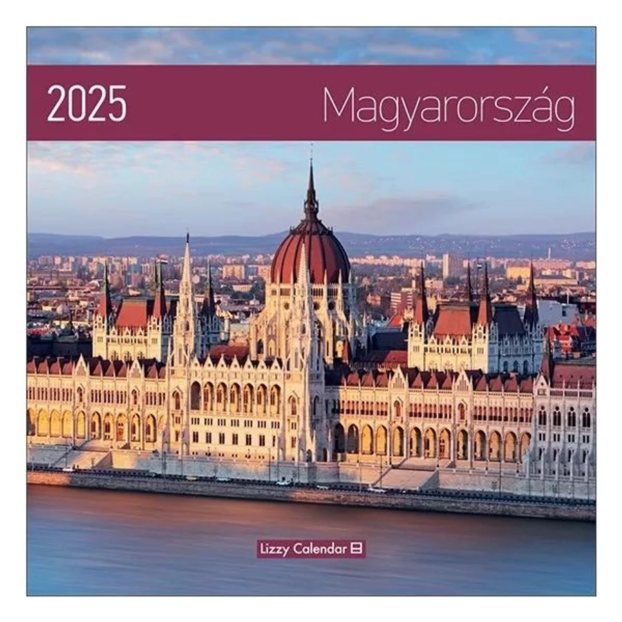 *50774 FALINAPTÁR 2025 Magyarország Lizzy lemez 30*30cm