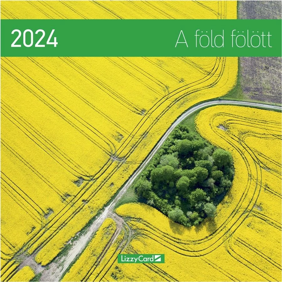 *50779 FALINAPTÁR 2024 táj A Föld fölött Lizzy lemez 30*30cm