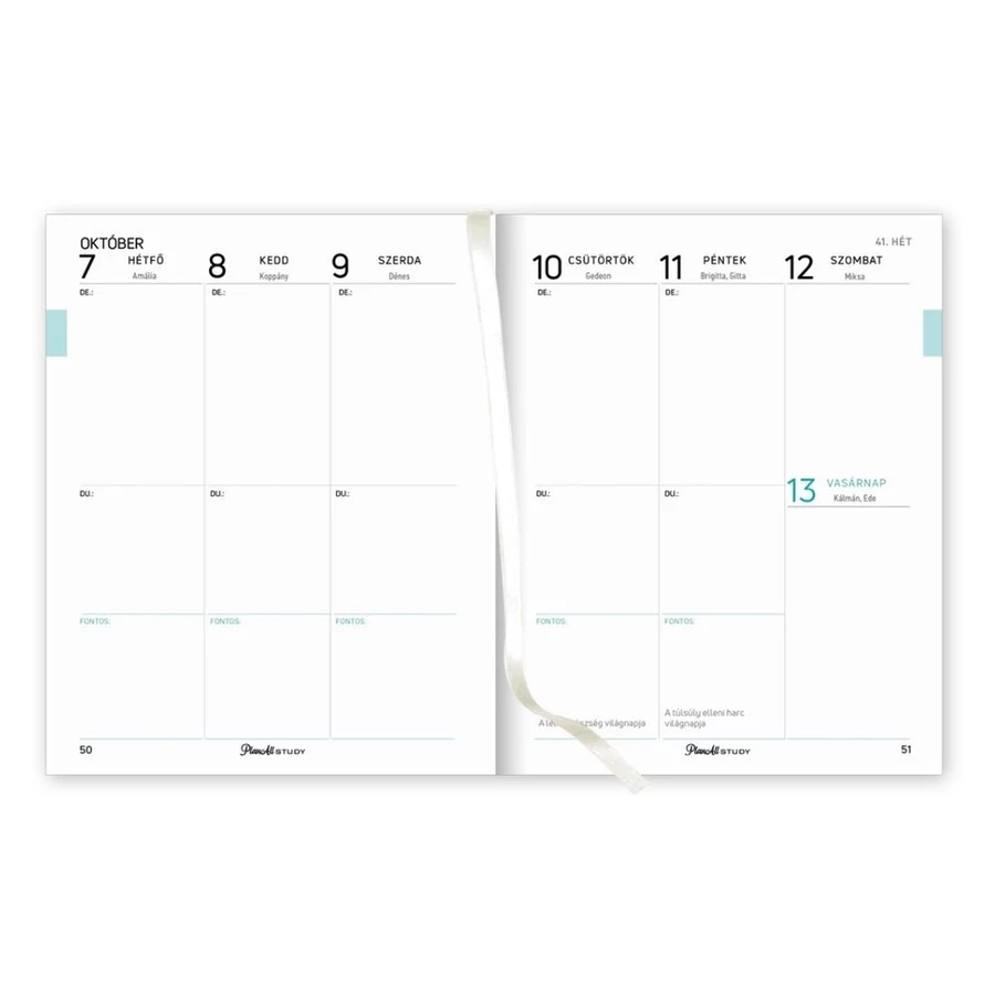 *52158 DIÁK TERVEZŐ B6 mini Mid-year Planall Study 2024/2025