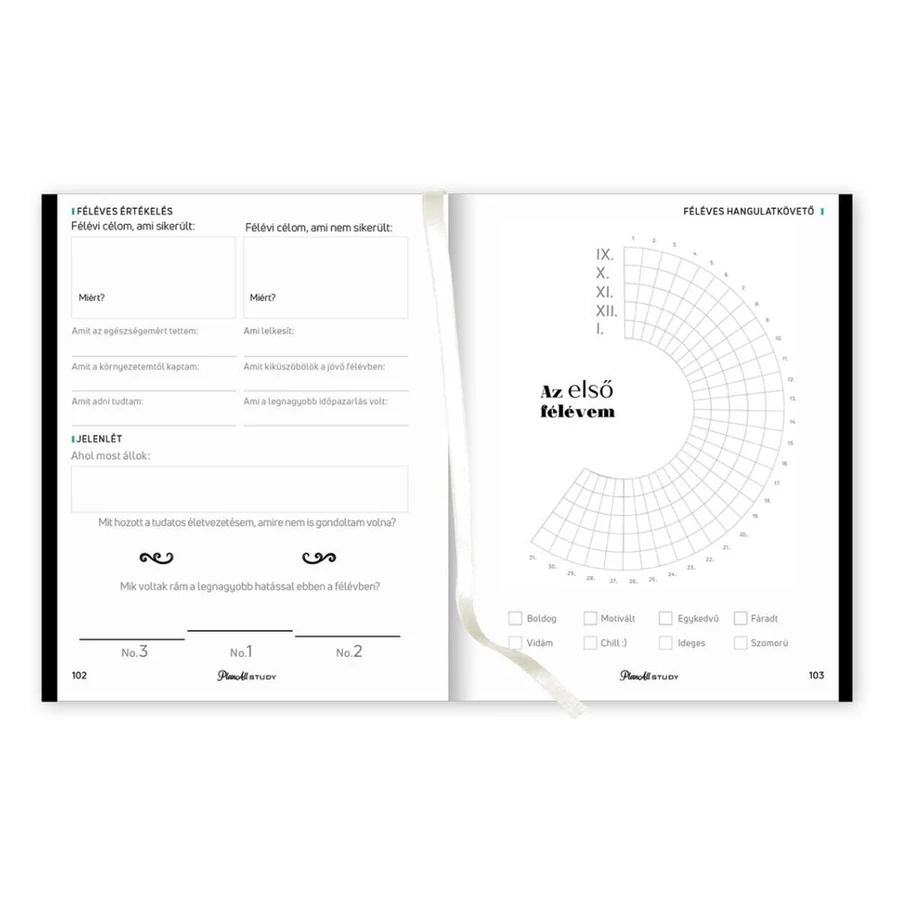 *52158 DIÁK TERVEZŐ B6 mini Mid-year Planall Study 2024/2025