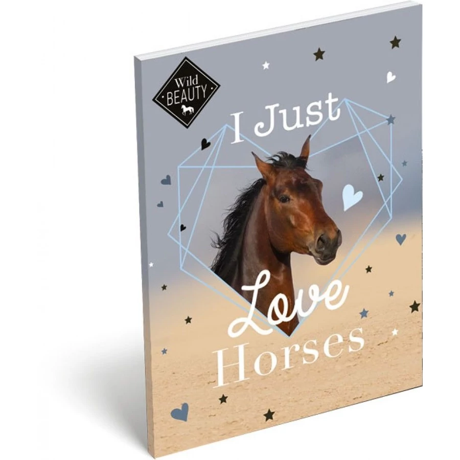 *52166 NOTESZ A7 papirfedelü LIZZY We Beauty Love