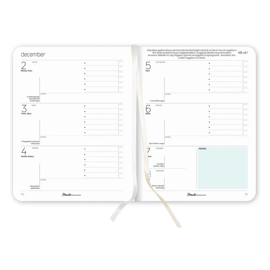 *52176 TANÁRI TERVEZŐ B5 Mid-year Teacher Professional 2024/2025 PlanAll