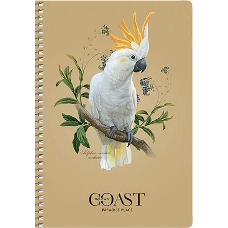 *53763 FÜZET spirál A5  SHKOLYARYK