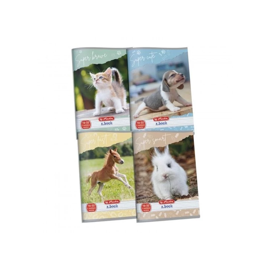 *53911 FÜZET A5 HERLITZ 2.oszt. 16-32  Animal Hero