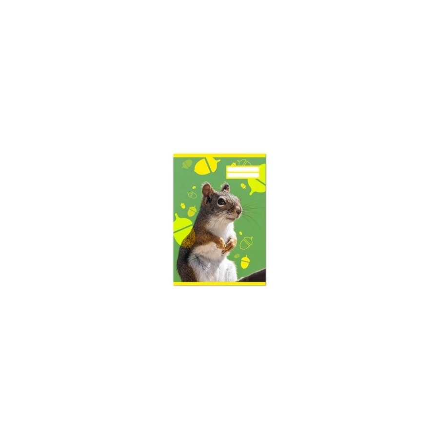 *53913 FÜZET A5 pd  1.oszt. mintás 14-32  