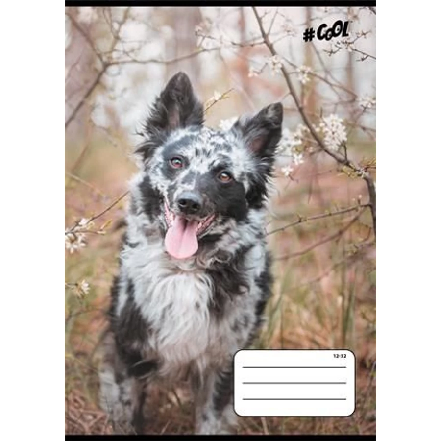 *54115 FÜZET A5  COOL by Victoria 3o. Dogs vonalas 12-32   32lap