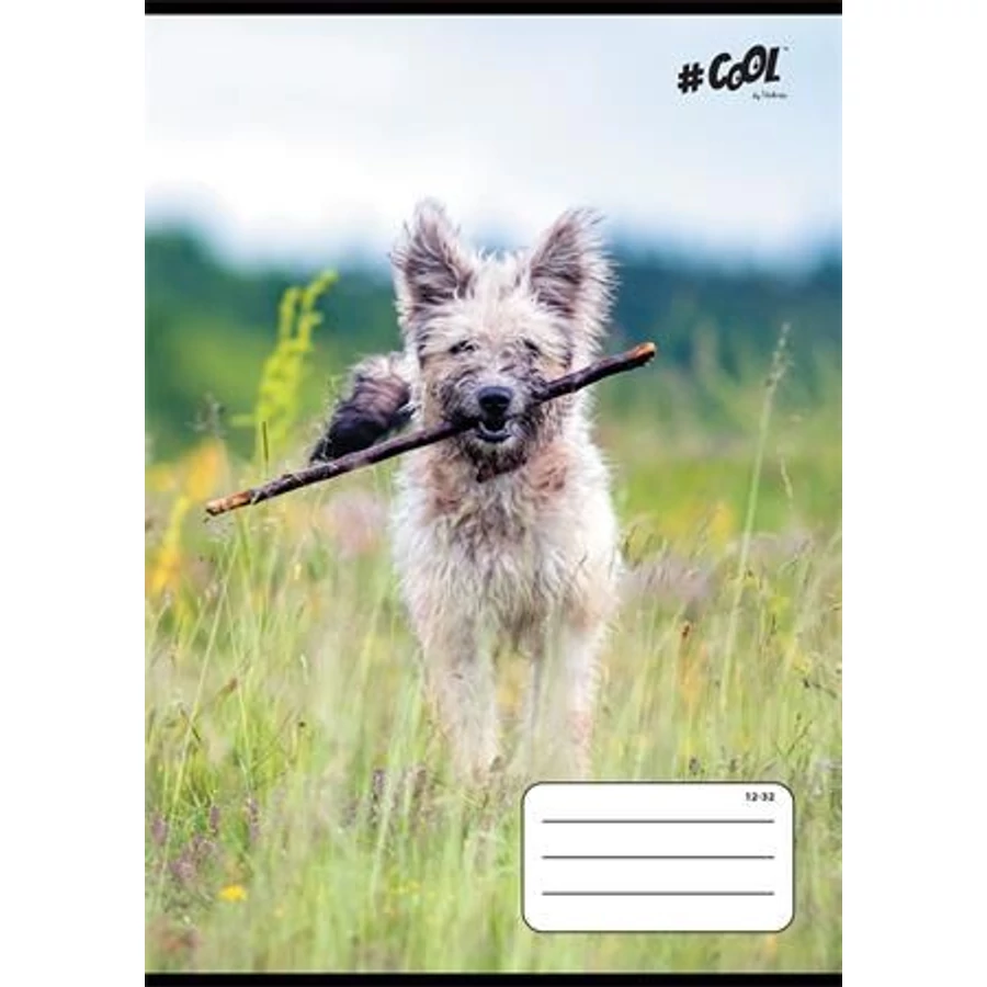 *54115 FÜZET A5  COOL by Victoria 3o. Dogs vonalas 12-32   32lap