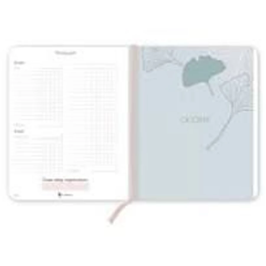 *54174 DIÁK TERVEZŐ B5 2024-2025 PlanAll Study Viszkok Fruzsi