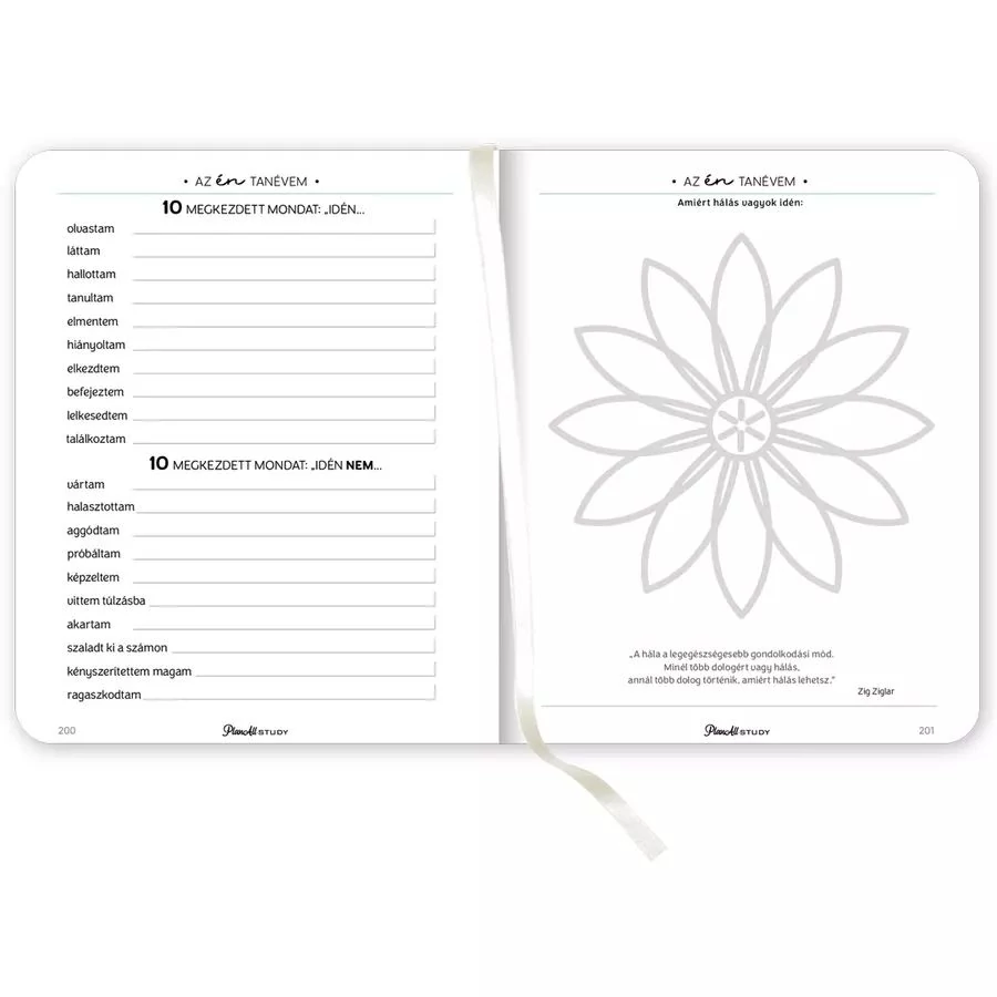 *54176 DIÁK HALLGATÓI TERVEZŐ B5 2024-2025 PlanAll Study Mid-Year