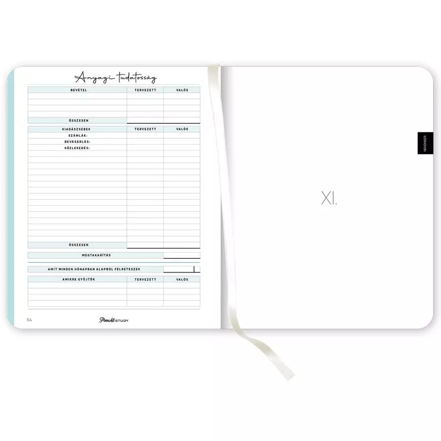 *54176 DIÁK HALLGATÓI TERVEZŐ B5 2024-2025 PlanAll Study Mid-Year