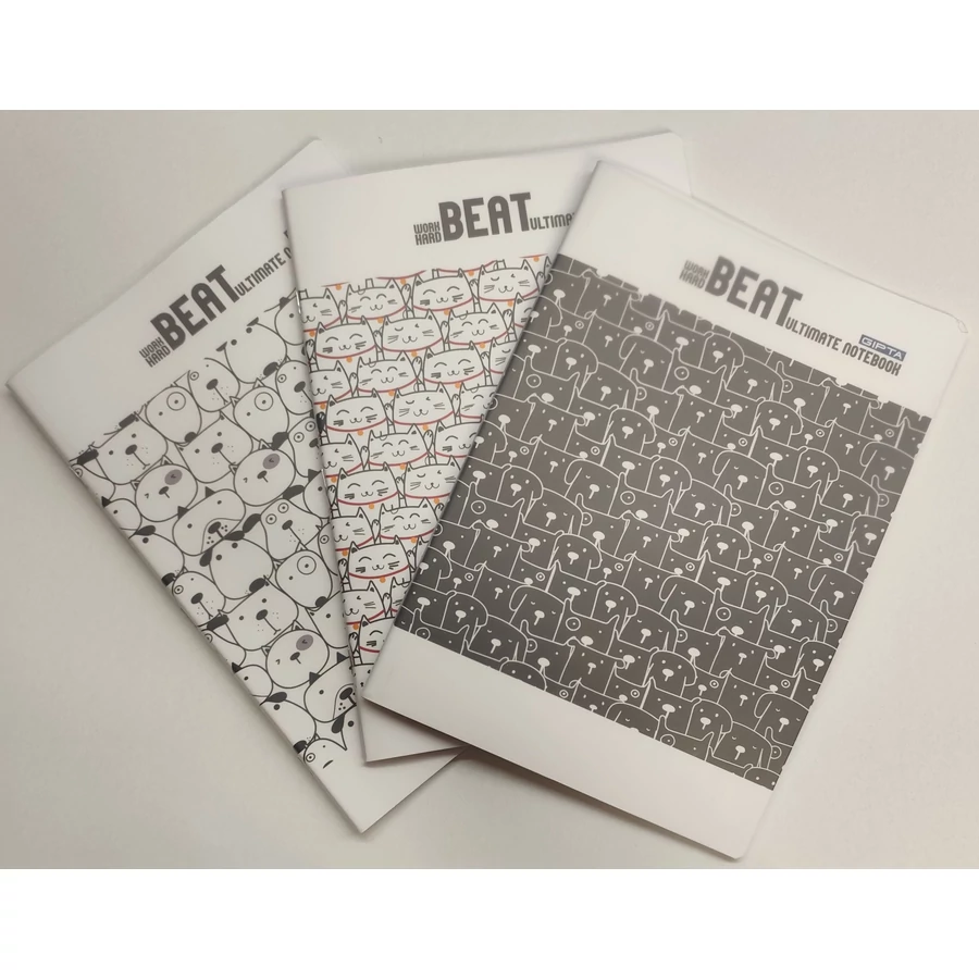 *54376 FÜZET A4 GIPTA Beat  60lap kockás  PP  4220