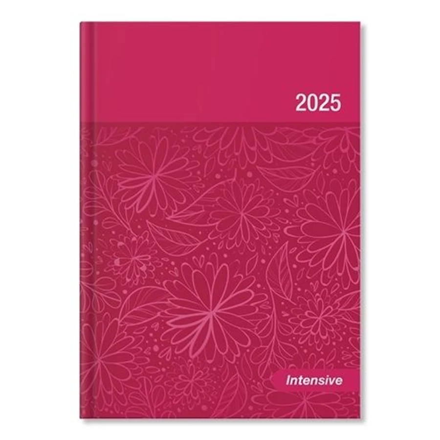 *54659 HATÁRIDŐNAPLÓ 2025 B6 heti Period Intensive