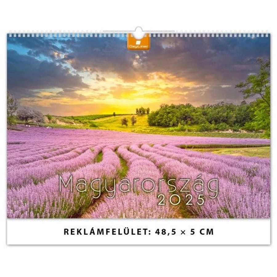 *54743 FALINAPTÁR 2025 Magyarország spirálozott  FA-MA-B3  48,5*34cm