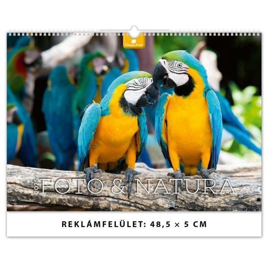 *54751 FALINAPTÁR 2025 Foto&amp;Natura  48,5*34cm   FA-FN-B3