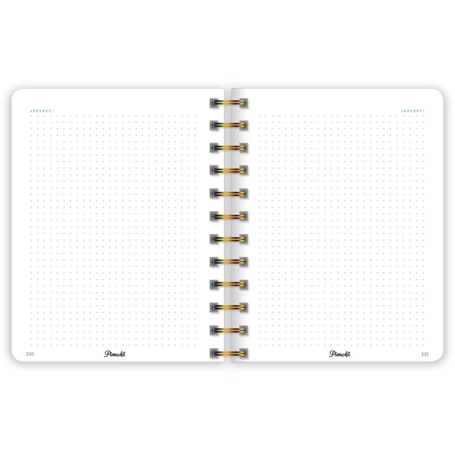 *54801 HATÁRIDŐNAPLÓ LIZZY 2026 PlanAll midi B6 classic spirálos heti tervező